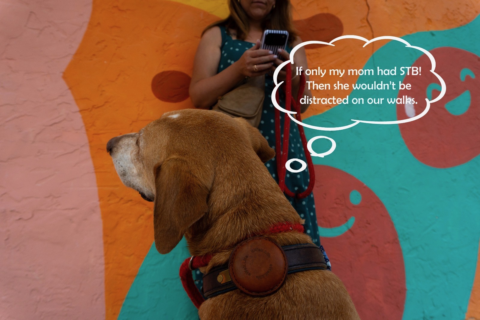 A dog gazing wistfully at his owner who's distracted on her phone — captioned 'If only my mom had STB!'